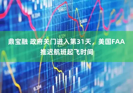 鼎宝融 政府关门进入第31天，美国FAA推迟航班起飞时间