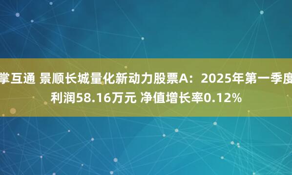 掌互通 景顺长城量化新动力股票A：2025年第一季度利润58.16万元 净值增长率0.12%